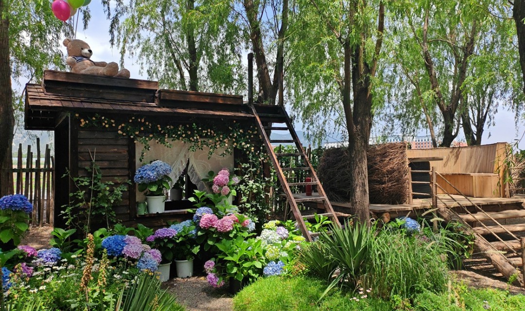 “稻前方”，邂逅夏日浪漫之约